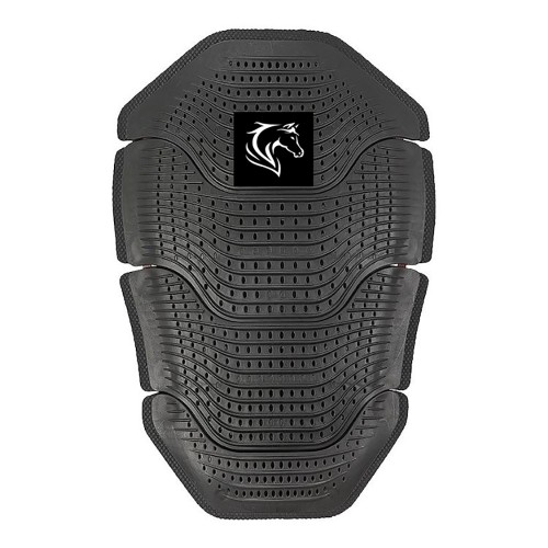 Riding Back Protector
