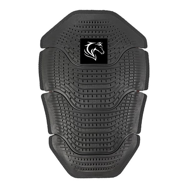 Riding Back Protector