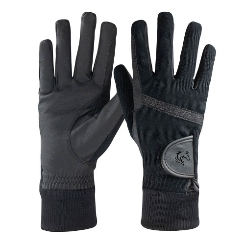 Winter Gloves