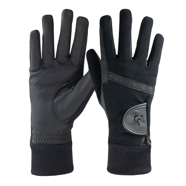 Winter Gloves