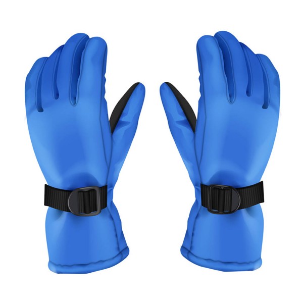 Winter Gloves