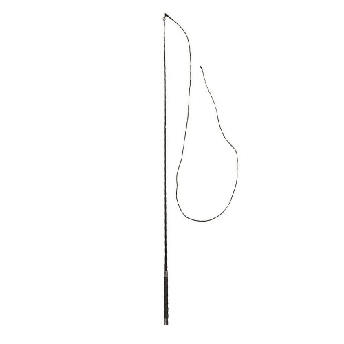 Lunging Whip