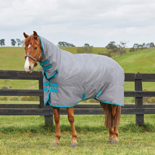 Medium & Heavyweight Turnout Rug