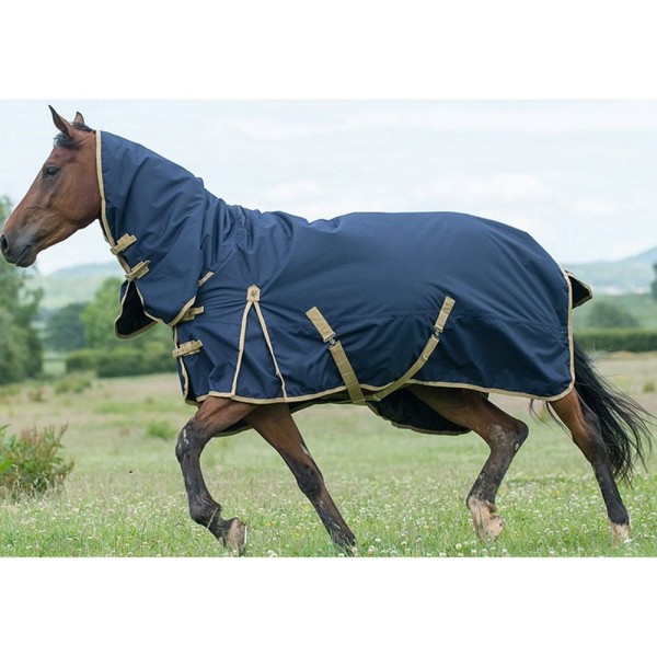 Medium & Heavyweight Turnout Rug