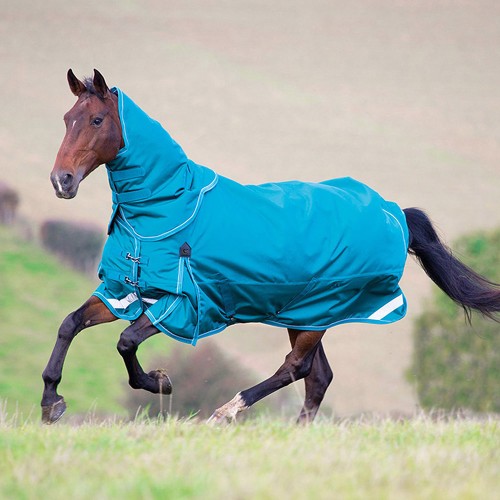 Medium & Heavyweight Turnout Rug
