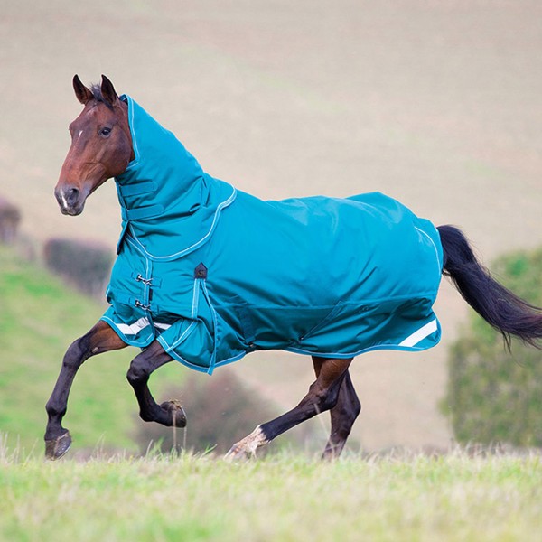 Medium & Heavyweight Turnout Rug